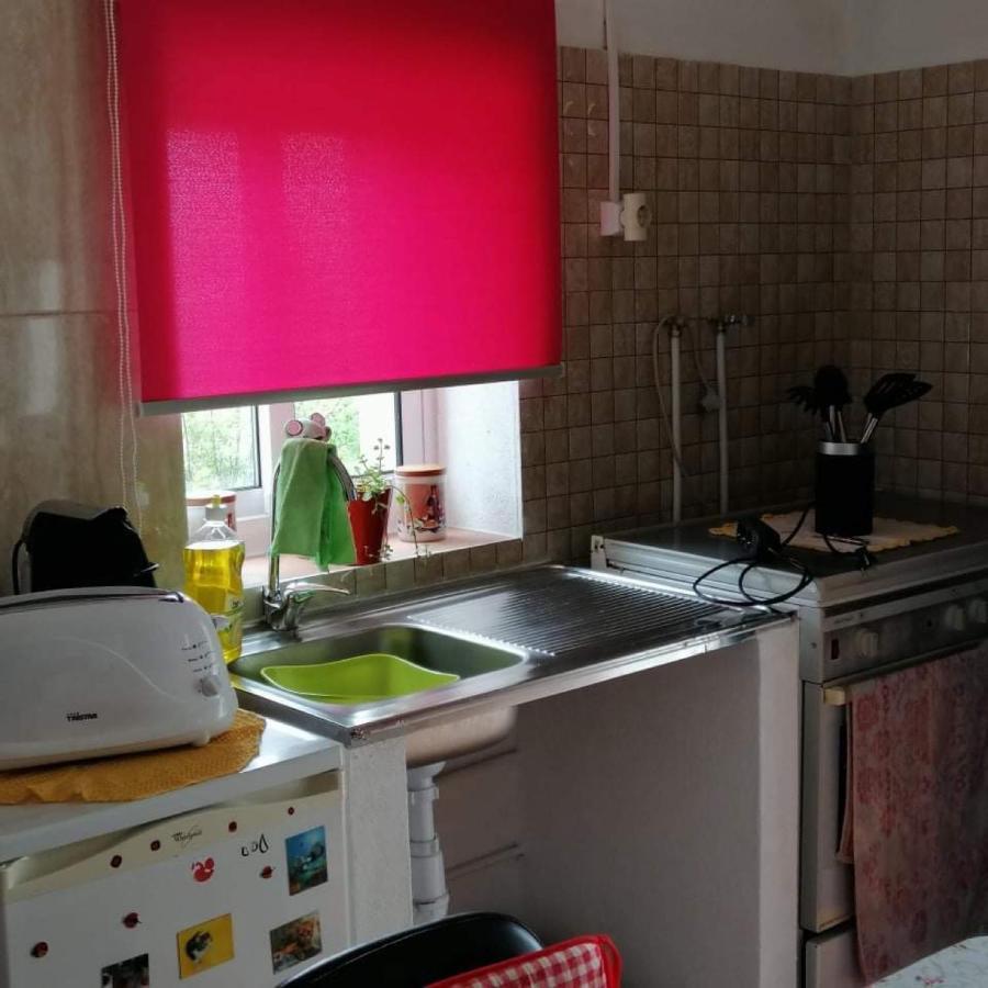 فيلا Refugio Dos Sapinhos سيلفيس المظهر الخارجي الصورة