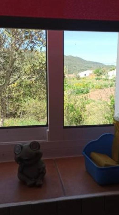 فيلا Refugio Dos Sapinhos سيلفيس المظهر الخارجي الصورة